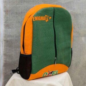 backpack / laptop bag